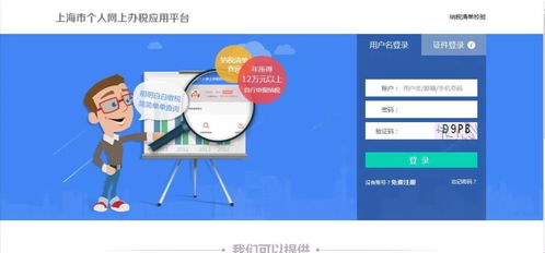 自然人稅收管理系統客戶端生產經營申報操作與信息系統運行維護服務指南